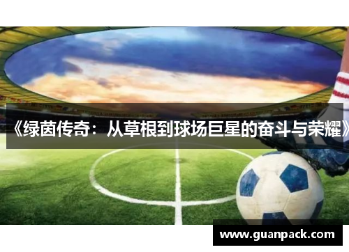 《绿茵传奇：从草根到球场巨星的奋斗与荣耀》