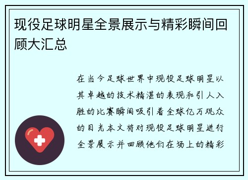 现役足球明星全景展示与精彩瞬间回顾大汇总